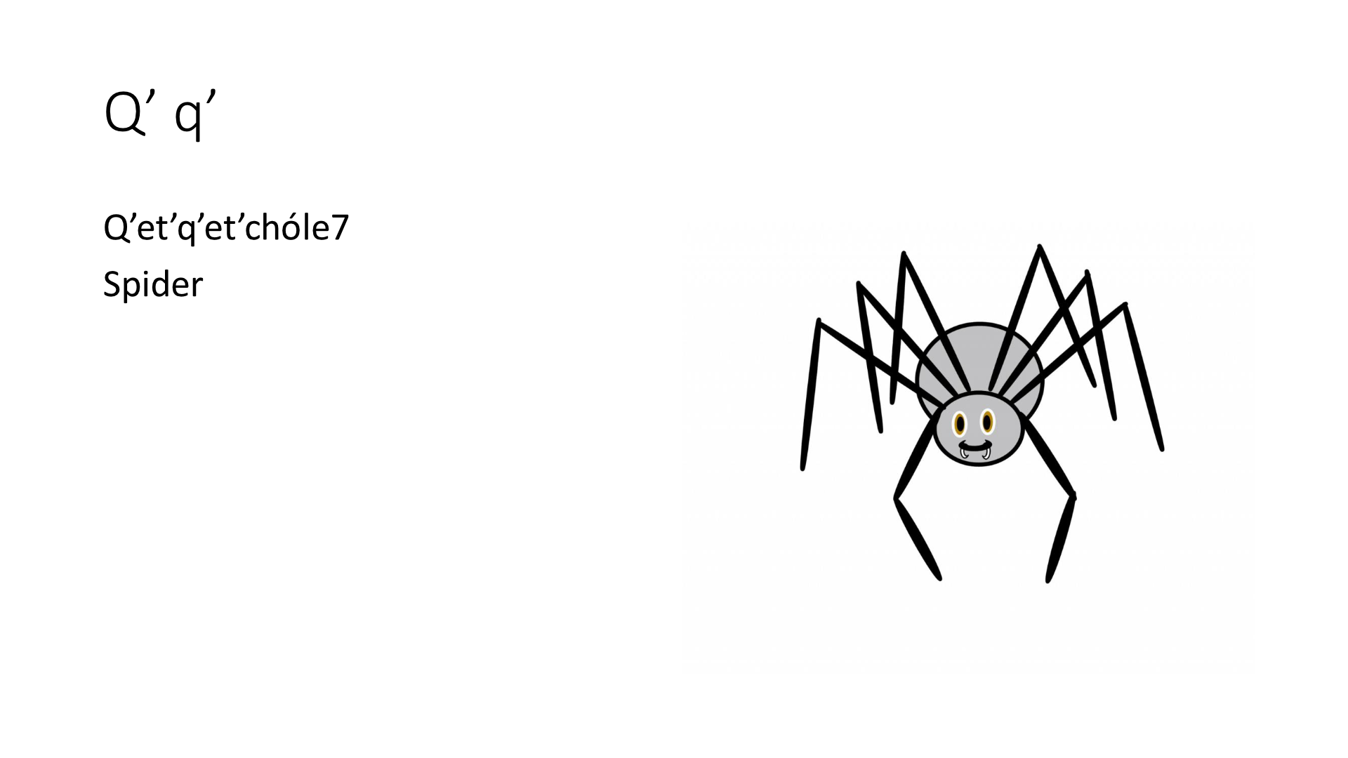 Illustration of a spiders