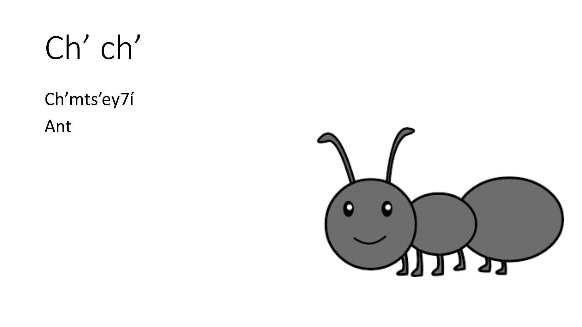 An ant illustration