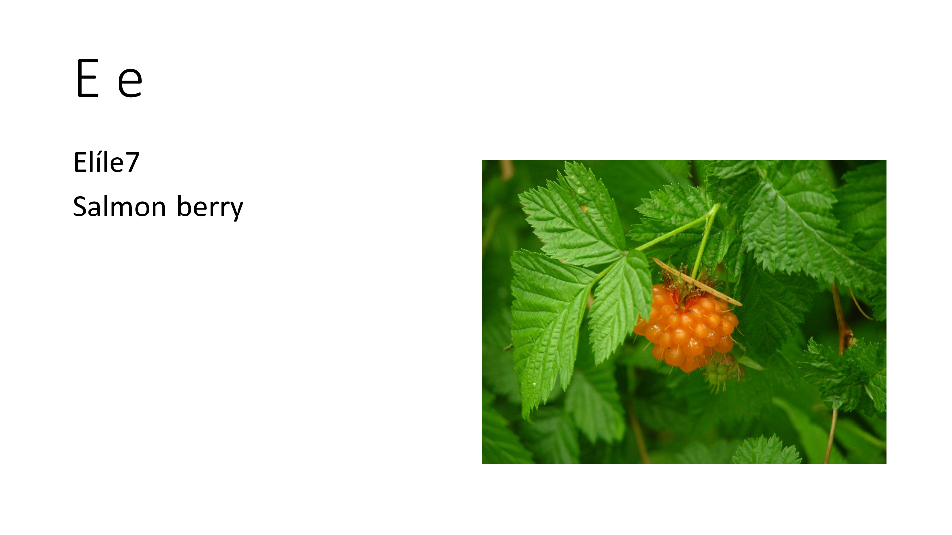 A picture of a salmon berry