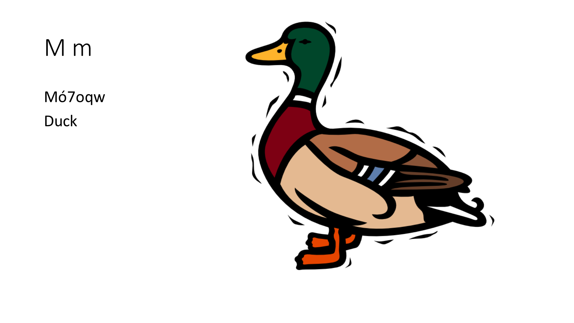 Illustration of a Duck